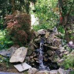 waterfeature-forest_01