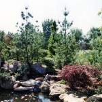 waterfeature-pond-forest